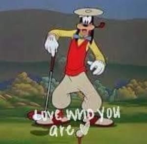 Meet your Posher, Shane